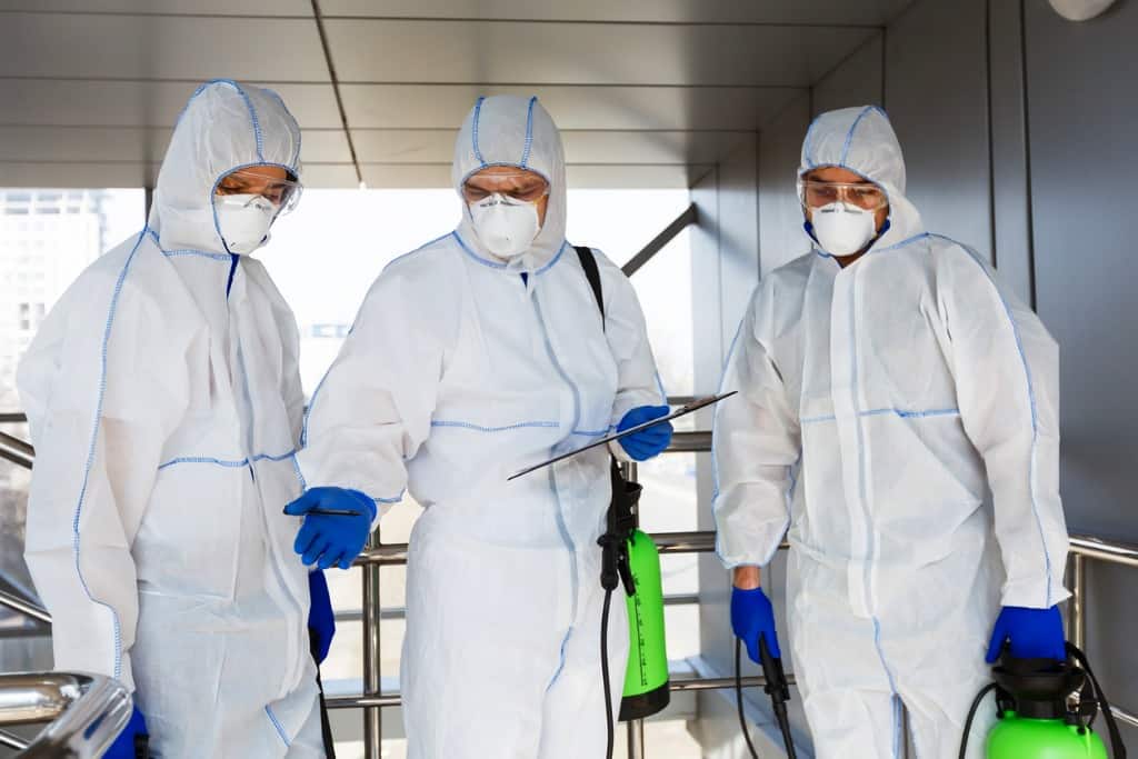 Mold removal